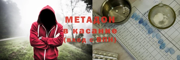 прущие грибы Ладушкин