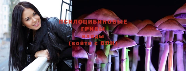 спиды Великий Новгород