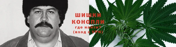 сатива Лагань