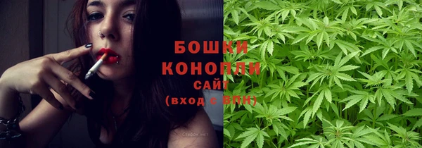 сатива Лагань