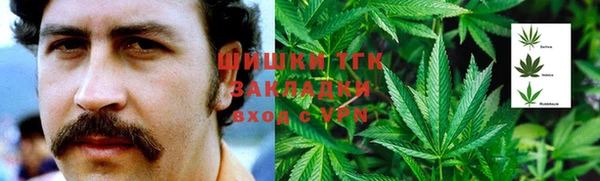 прущие грибы Ладушкин