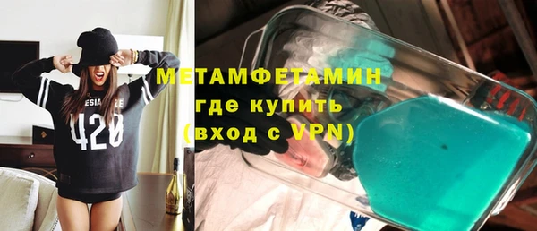 прущие грибы Ладушкин