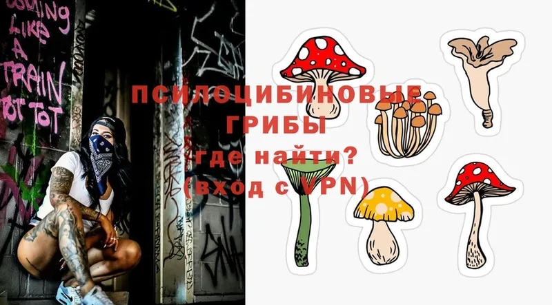 как найти закладки  Николаевск  Псилоцибиновые грибы Magic Shrooms 