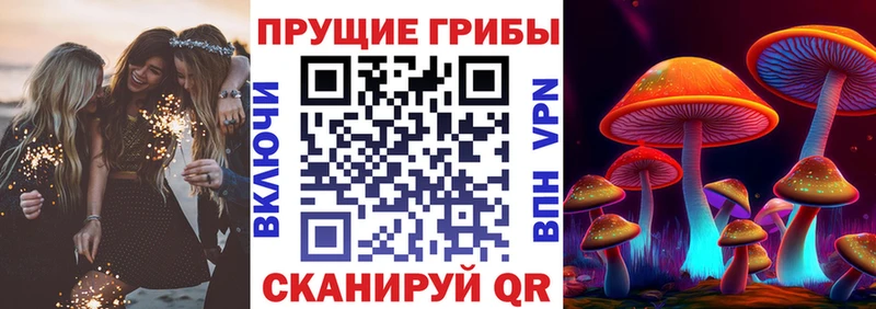 Псилоцибиновые грибы MAGIC MUSHROOMS  Николаевск 